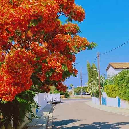 Vila Melissa Protaras