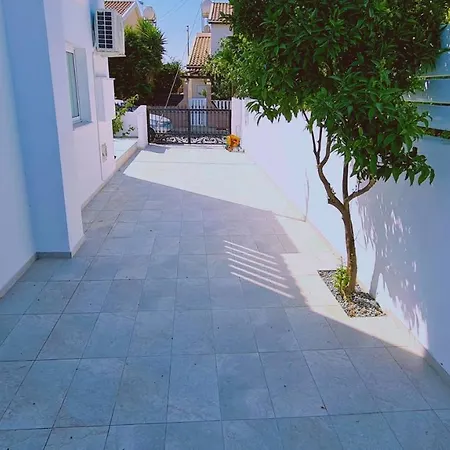 فيلة Melissa *