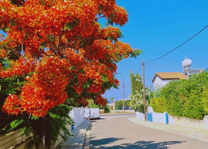 Villa Melissa Protaras